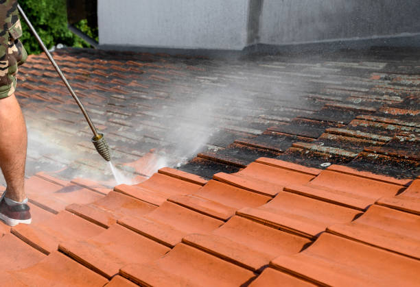 Best Best Pressure Washing Companies  in South Sarasota, FL