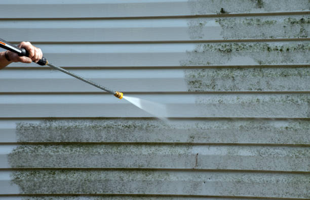 Best Roof Pressure Washing  in South Sarasota, FL